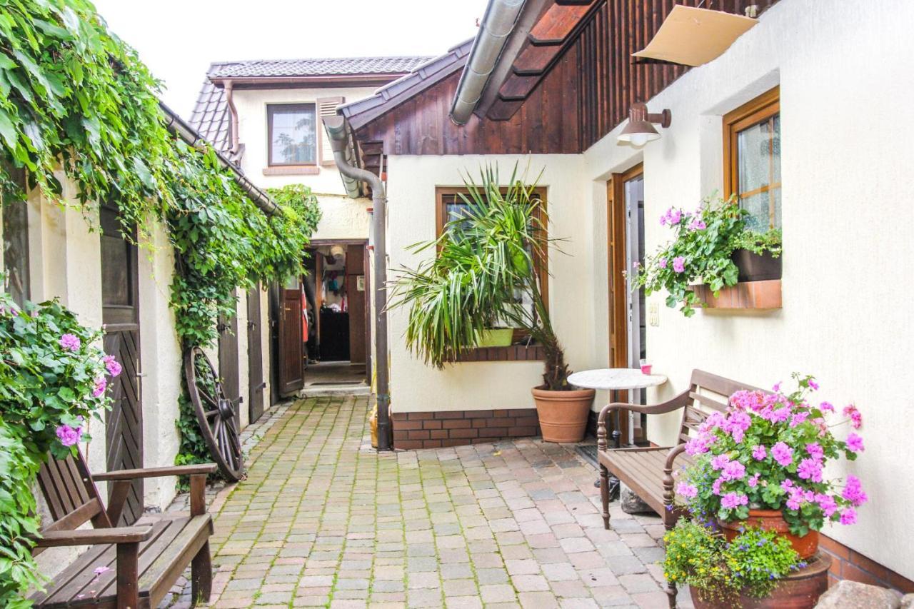 Likedeeler 3 Appartement Zingst Buitenkant foto